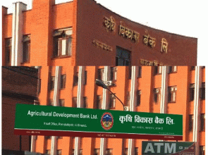 साम्बालाई कृषि विकास बैंकले गर्याे आर्थिक सहयाेग