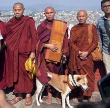 भियतनामी भिक्षुद्वारा बौद्धनाथ, स्वयम्भूनाथ र चारुमती बिहारको शान्ति पदयात्रा