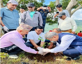  निजामती सेवा दिवसको अवसरमा ‘बिरुवा रोप्नुभन्दा हुर्काउनु महत्वपूर्ण’