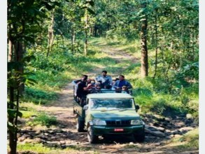 जंगल सफारीसँगै बाँके निकुञ्‍ज पर्यटकको चहलपहल बढ्यो