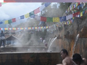 चिलिमे तातोपानीमा पुनःस्नान गर्नेको घुइँचो