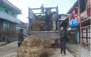 चिराइतो बिक्री नहुँदा किसान चिन्तित