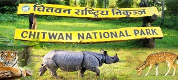 चितवन राष्ट्रिय निकुञ्जमा पर्यटक आगमन बढ्यो, २७ करोडभन्दा बढी राजस्व संकलन