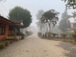 निकुञ्ज हुँदै यात्रा गर्दा सावधानी अपनाउन आग्रह