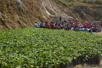 काभ्रेका किसानलाई कफी उत्पादन प्रविधि तालिम