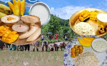 सांस्कृतिक पर्व असार १५ः धान दिवससहित दही चिउरा खाएर मनाइँदै