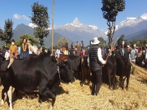 महोत्सवले पर्यटन प्रवर्द्धनसँगै अर्थतन्त्र चलायमान