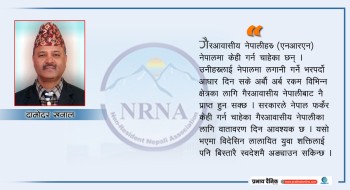 एनआरएनलाई भित्र्याउन लगानीमैत्री वातावरणको खाँचो