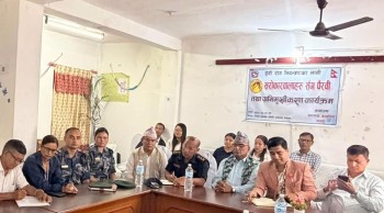 पाल्पामा २५५ जनामा डेङ्गु सङ्क्रमण पुष्टि