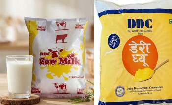 प्रधानमन्त्री कार्यालयको निर्देशनपछि डिडिसीमा दूधको गुणस्तर सुधार