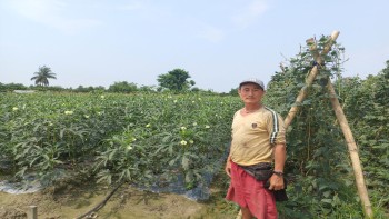 मलेसियाको पुँजी र सीपको सदुपयोग- कृषि फार्मबाट आम्दानीसँगै रोजगारी दिँदै देउकुमार