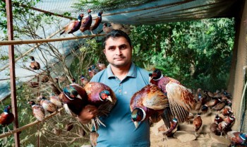 व्यावसायिक कृषिमा रमाउँदै ढकाल परिवार