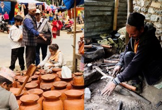 लोपोन्मुख अवस्थामा मौलिक सीप