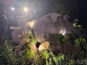 उद्दण्ड मच्चाउने ‘ध्रुवे’लाई ‘रेडियो कलर’ जडान