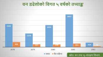 मनसुन पूर्वको वर्षाले घटायो वन डढेलो
