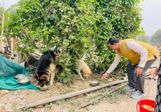 सुकुम्बासी बस्तीका घरपालुवा जनावरलाई संस्थाहरुले संरक्षण गर्दै
