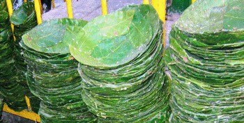 दुनाटपरी आम्दानीको मुख्य स्रोत बन्दै