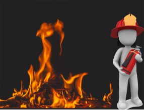 डढेलो नियन्त्रण गर्न स्वयंसेवक