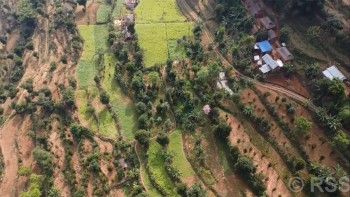 व्यावसायिक फलफूलखेतीतर्फ भुल्केका किसानको आकर्षण