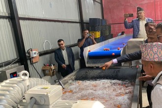 पनौतीमा विषादी अवशेष न्यूनीकरण गर्न ‘फुड-बैंक’