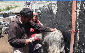 च्याङग्राका भुुवाको बजार सुुनिश्चित