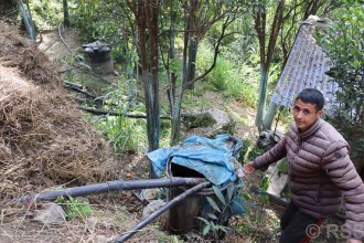 गहुँतबाट जैविक विषादी उत्पादन गरेर खेतीमा प्रयोग