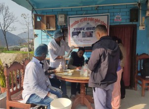 गाईभैँसीमा देखिए थुनेलो रोग