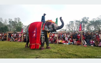 चितवनको पर्याय बन्दै ‘हात्ती तथा पर्यटन महोत्सव’