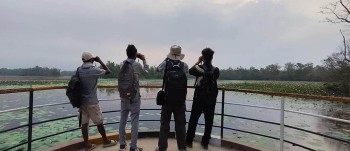 घोडाघोडी सिमसार क्षेत्रमा सूचक प्रजाति हरिहाँसको गणना सुरु