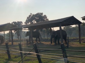 नागरिकमा आशा जगाउने काम गरिरहेका छौँः उपप्रधानमन्त्री सिंह