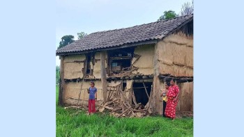हात्तीको त्रासमा रात कटाउछन् टीकापरका स्थानिय