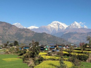 बेनीको तोरीपानीमा सयपत्री ‘होमस्टे’ सञ्चालन