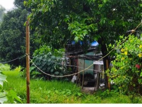 हात्ती धपाउन विद्युतीय घेराबारा