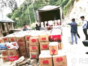 जुम्लाबाट साढे चार हजार मेट्रिकटन स्याउ बिक्री