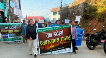 डढेलो नियन्त्रणका लागि सप्ताहव्यापी सचेतनामूलक कार्यक्रम सञ्चालन