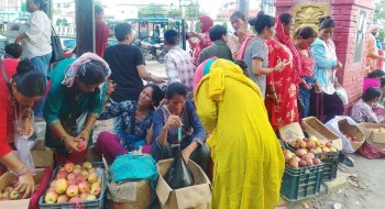तीजको कोसेलीः कर्णालीको स्याउ