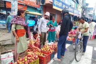 उपभोक्ताको रुचिमा कर्णालीको स्याउ