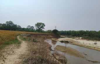 पशु प्रजनन कार्यालयको खेतीयोग्य जमिन कटानमा