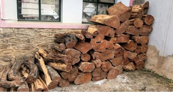 वन कार्यालयद्वारा काठ बरामद