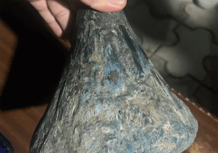 गैंडाको खाग जस्तो देखिने बस्तुसहित चार जना नियन्त्रणमा