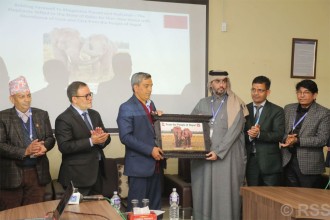 कतार  नेपालबाट पठाइयाे  खगेन्द्रप्रसाद र रुद्रकली हात्ती