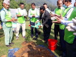 वनजाई, चुत्रो र टिम्बुरका बिरुवा चन्द्रागिरिमा सारियो