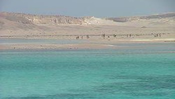 लाल सागरमा आप्रवासीको मृत्यु रेकर्ड स्तरमा