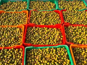 पर्वतमा व्यवसायीलाई लप्सीका परिकार बनाउन भ्याइनभ्याइ