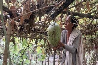लौका बेचर मासिक ४० हजार आम्दानी