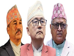 लिङ्देन अनुपस्थित बैठक भाँडियो, थापा नबोली हिँडे