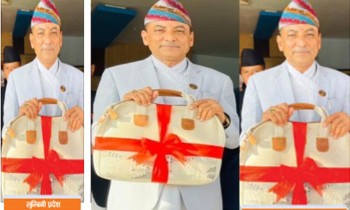 लुम्बिनीको बजेटको विशेषता