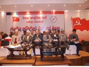 संवैधानिक संकटको समाधान गर्न आवश्यक : नेपाल