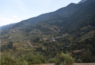 मध्यवर्ती क्षेत्रमा पशुचौपाया जोगाउनै मुस्किल