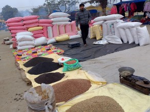 मिथिलाञ्चलमा माघे सङ्क्रान्तिको भव्य तयारी गरिँदै